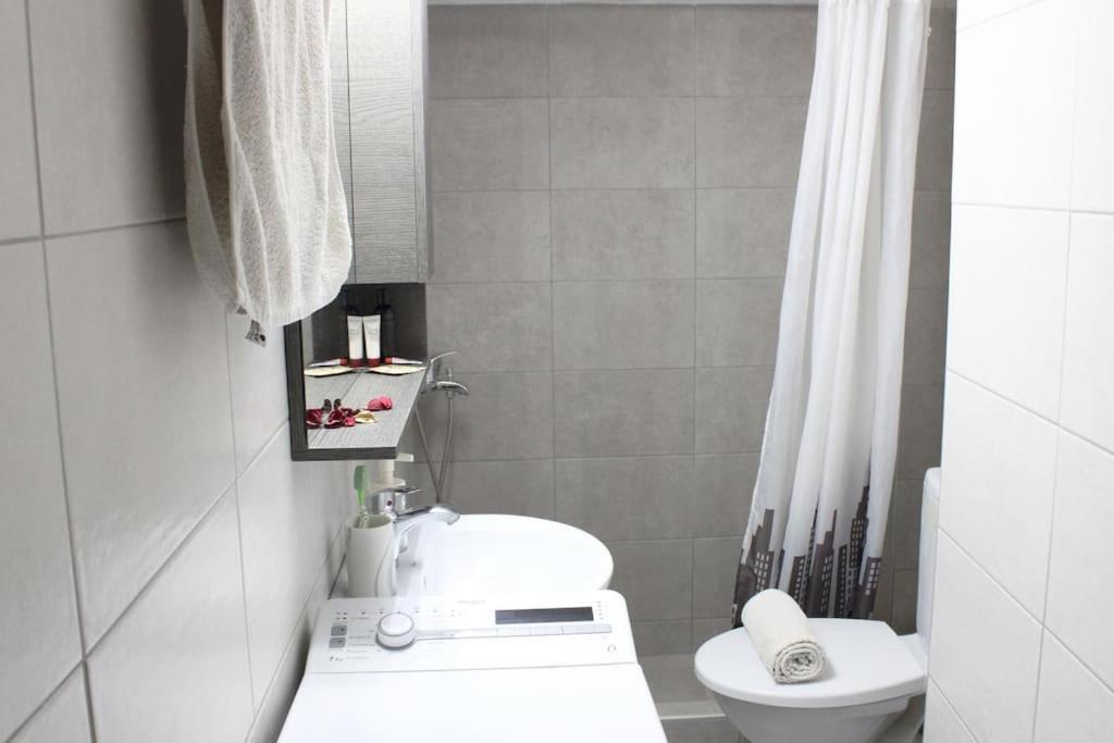 Artistic Eco Aprt, Rotunda Skg Apartment เทสซาโลนิกิ ภายนอก รูปภาพ